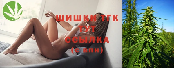 2c-b Гусев