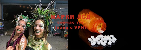 ПСИЛОЦИБИНОВЫЕ ГРИБЫ Гусиноозёрск