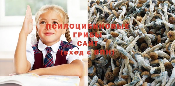 2c-b Гусев