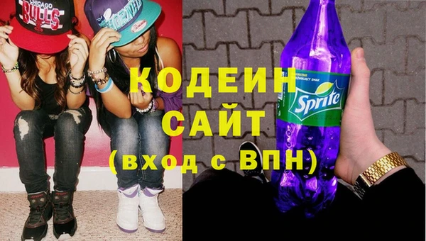 2c-b Гусев