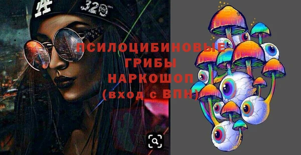 2c-b Гусев