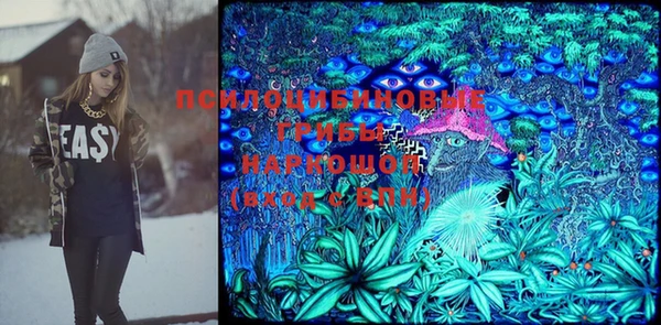 соль ск Гусь-Хрустальный