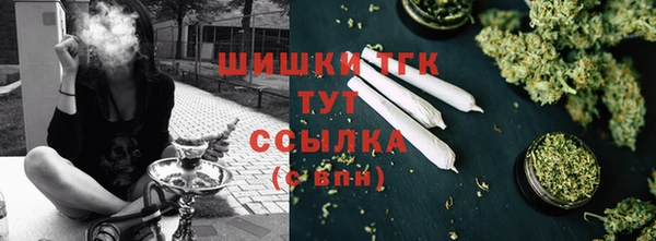 ПСИЛОЦИБИНОВЫЕ ГРИБЫ Гусиноозёрск