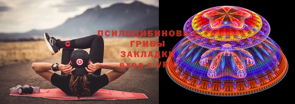 ПСИЛОЦИБИНОВЫЕ ГРИБЫ Гусиноозёрск