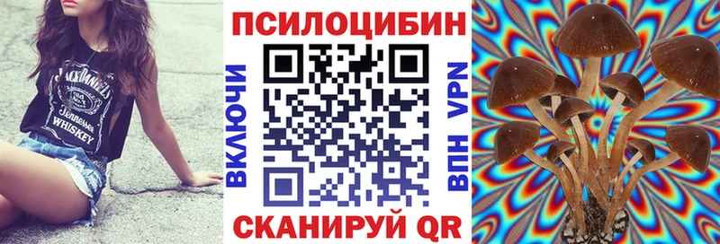 Галлюциногенные грибы мицелий Купить где Черноголовка