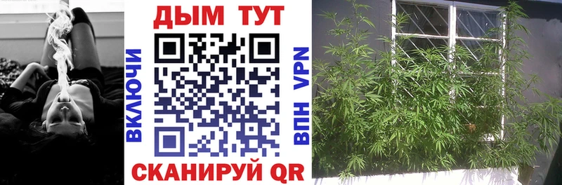 Купить где  Черноголовка  Конопля Ganja 